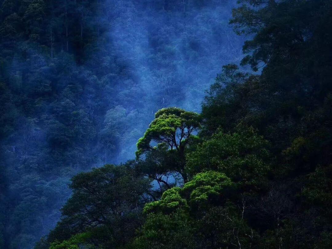 我老公的男性朋友为啥给我秒回消息？